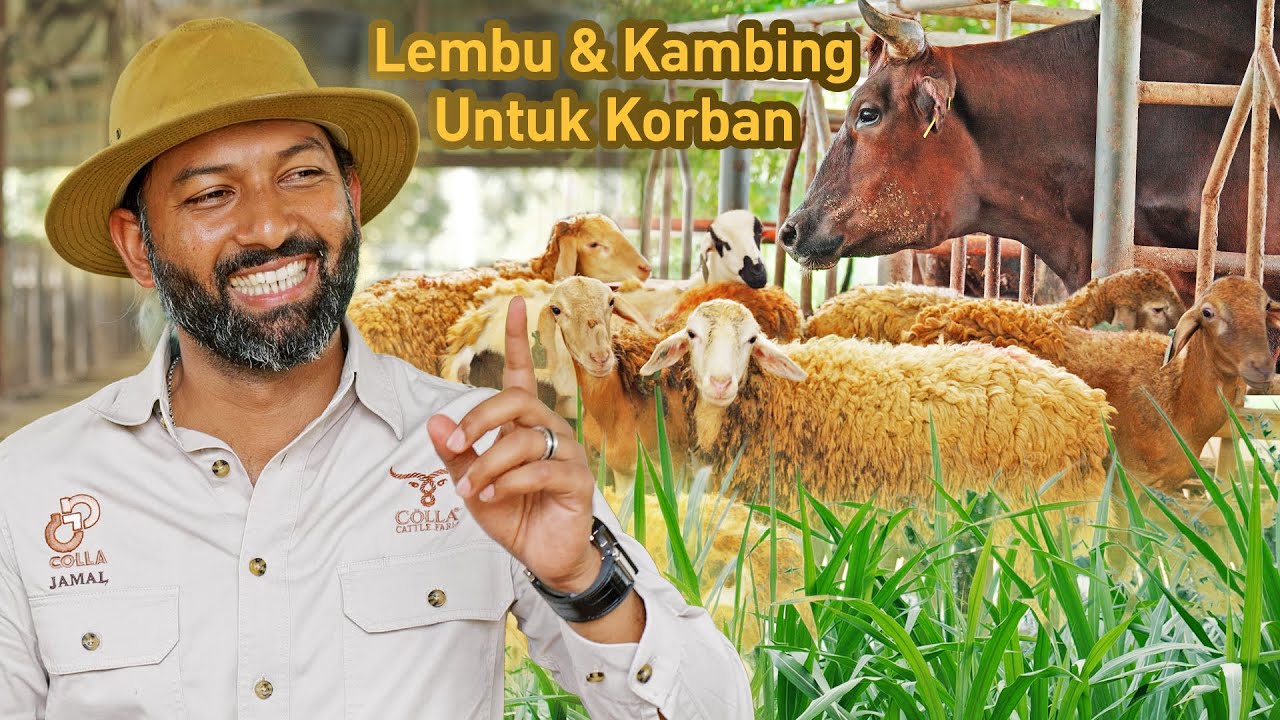 ROOT Boardgames | Yuk ngabuburit di ROOT, gak kerasa tiba tiba buka aja ...